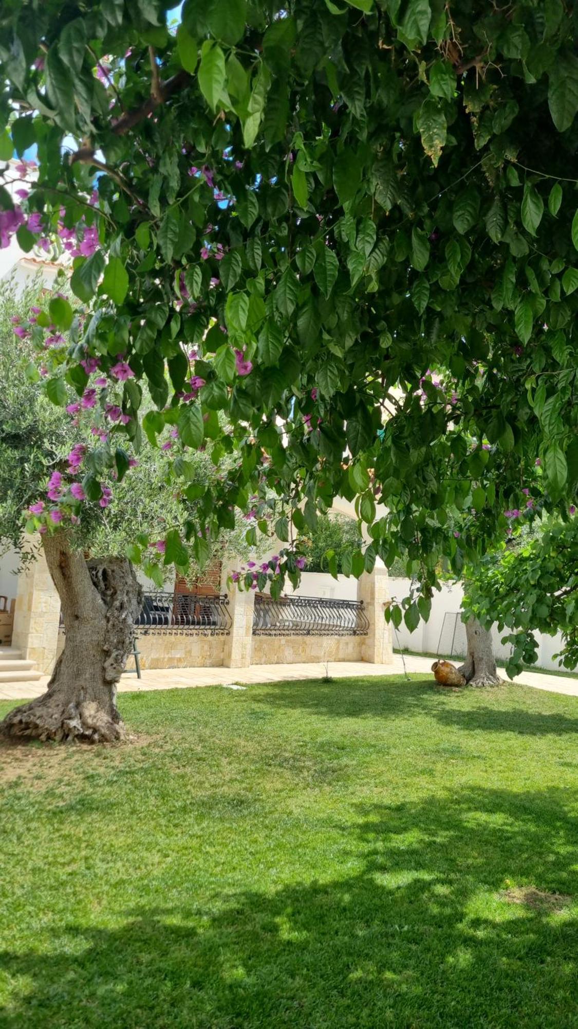 Villa Guajira Бари Экстерьер фото