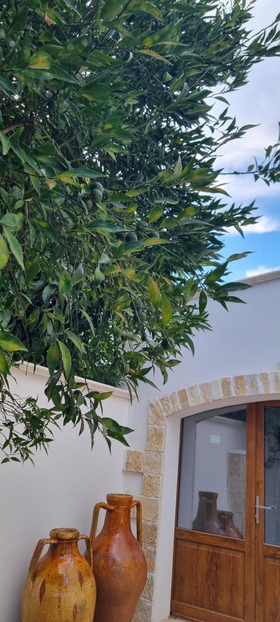 Villa Guajira Бари Экстерьер фото