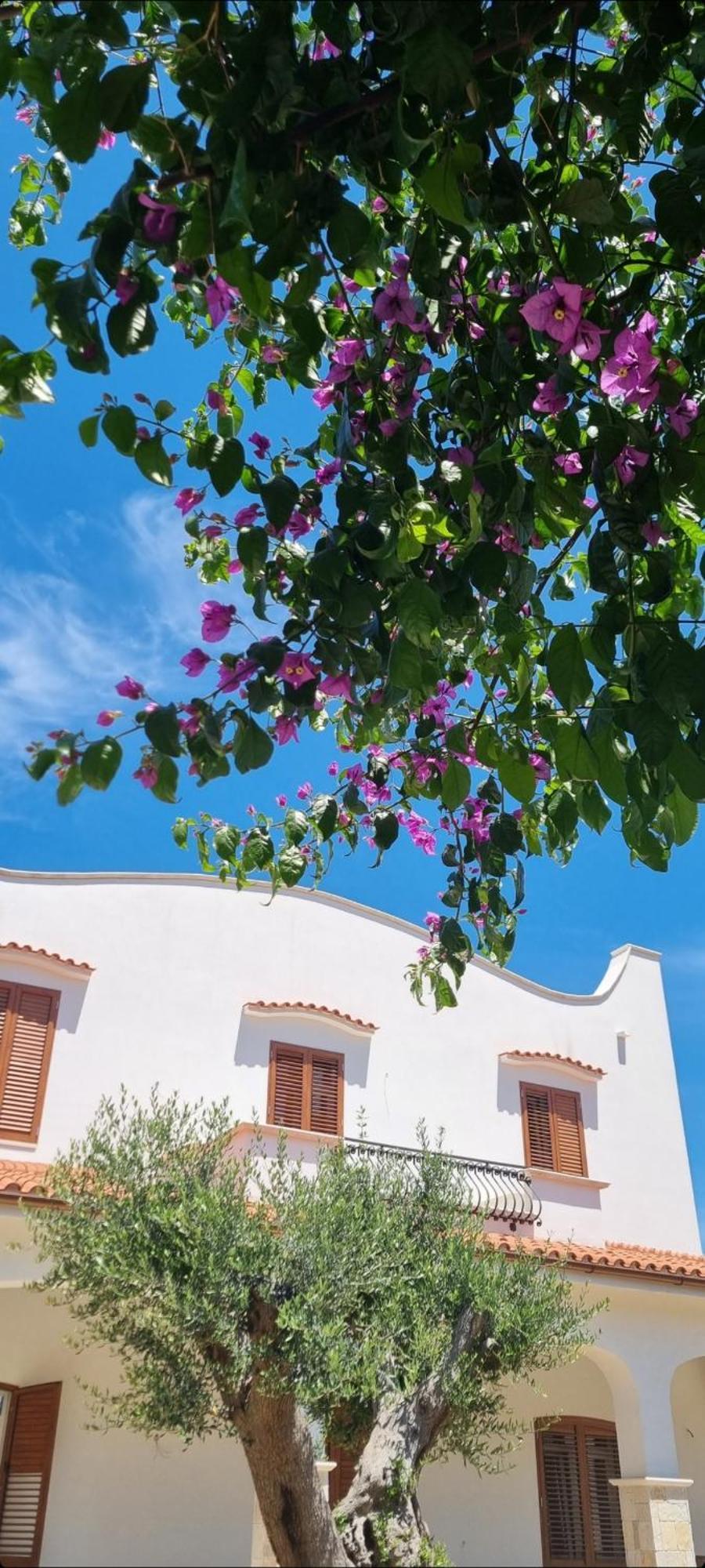 Villa Guajira Бари Экстерьер фото